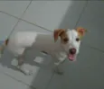 Nina