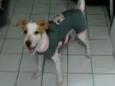 Nina