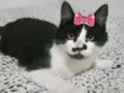Nina 