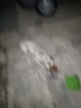 Não tem