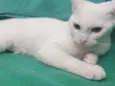 Julie