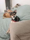 Nina