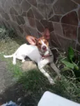 Lua