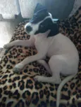 Lola
