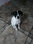 Lola