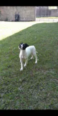 Lola