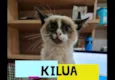KILUA