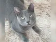 Tom 