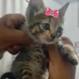Minnie 