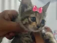 Minnie 