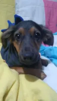 Docinho