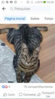 Tigrão