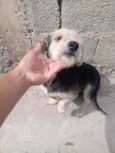 Princesa