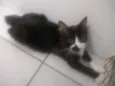 Pablo