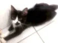 Pablo