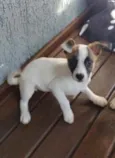 Lili