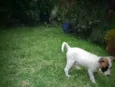 Lili