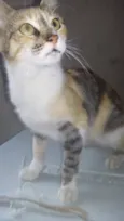Vitória 