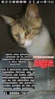 Vitória 