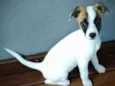 Lili