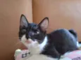 Zezé