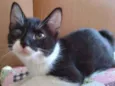 Zezé