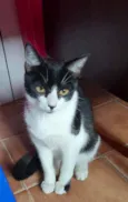 Soraya