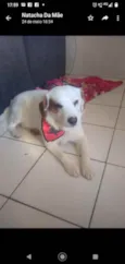 Bbilly