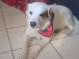Bbilly
