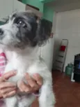 Bilú