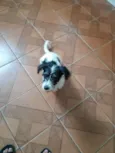 Bilú