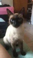 Bela