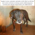 Negão