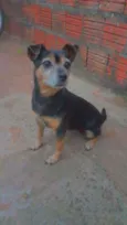 Lili