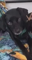 TOCO