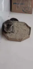 Mia