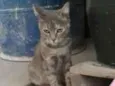 nao temos