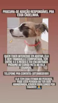Sem nome ainda