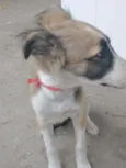 Sem nome ainda