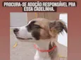 Sem nome ainda
