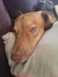 Zen