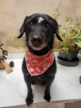 Ritinha