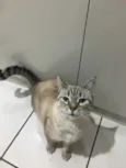 Samira