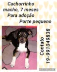 Menino