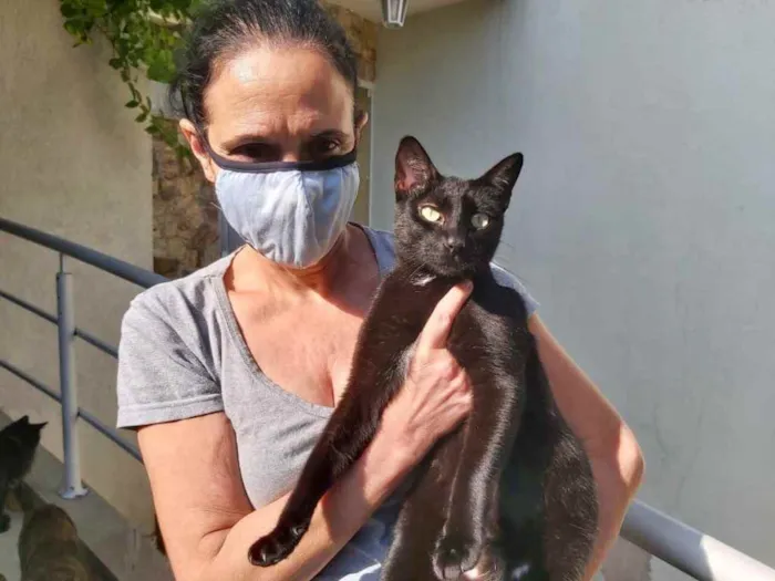 Gato raça Srd idade 7 a 11 meses nome Amanda linda gatinha