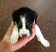 Ainda sem nome filho