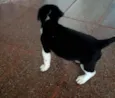Ainda sem nome filho