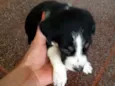 Ainda sem nome filho