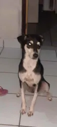 Sofia