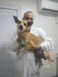 Léo